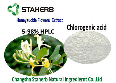 Chine Ingrédients cosmétiques naturels organiques, acide chlorogénique 5-98% CAS d'extrait de fleur de chèvrefeuille 327 97 9 fournisseur