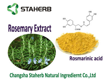 Chine Extraction supercritique de CO2 de Rosemary de feuille de couleur jaune-clair soluble dans l'huile de poudre fournisseur