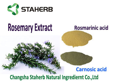 Chine Extrait brun clair de feuille de Rosemary de poudre, radicaux libres organiques de mise à mort d'extrait de Rosemary fournisseur