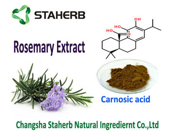 Chine Additif de Souble d'huile de l'acide 5-90% naturel de Carnosic d'antioxydants d'extrait de feuille de Rosemary bon fournisseur