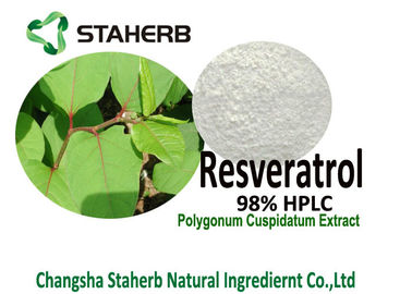 Chine Poudre d'extrait de racine de Cuspidatum de Polygonum de CLHP du Resveratrol 98% pour la prolongation de la durée de vie utile fournisseur