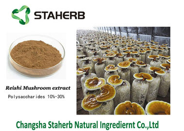 Chine Triterpène 1%-20% de poudre de Brown d'extrait de champignon de Ganoderma Lucidum Reishi fournisseur