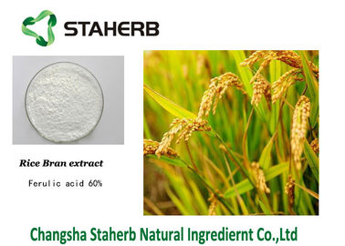 Chine Extraits de fines herbes purs de cosse acide férulique de riz fournisseur