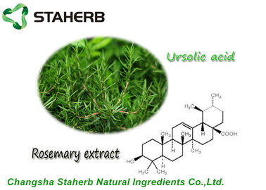 Chine Poudre acide d'Ursolic d'extrait de feuille d'Antioxdent Rosemary pour le produit de Cusmetic fournisseur