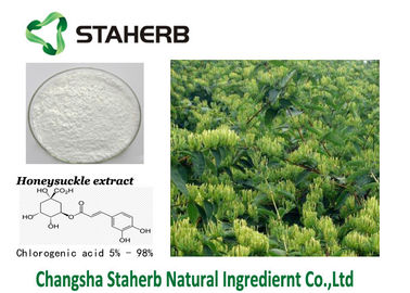 Chine L'extrait acide chlorogénique de fleur de Honeysuchle d'extrait de CAS 327-97-9 réduisent la chaleur fournisseur