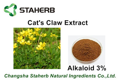 Chine Alcaloïde d'extrait de la griffe du chat antibactérien d'extrait de fines herbes 3% - 5% pour Pharma fournisseur