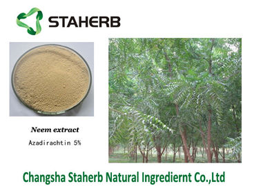 Chine Azadirachtin a concentré l'extrait d'usine, poudre d'extrait de plante verte de Neem fournisseur