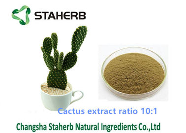Chine Extraction par solvants du rapport 10/1 de poudre de perte de poids d'extrait de cactus pour le champ cosmétique fournisseur