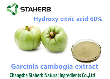 Chine Poudre de l'acide 60% de Hydroxycitric de poudre de réduction de poids d'extrait de gomme-gutte de Garcinia fournisseur