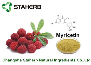 Chine L'usine naturelle pure d'écorce de Bayberry extrait la myricétine 98% pour le produit de santé par CLHP fournisseur