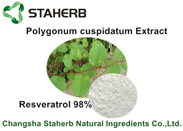 Chine Resveratrol extrait cosmétique cru de Cuspidatum de Polygonum d'ingrédients de 50% - de 98% fournisseur