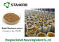 Triterpène 1%-20% de poudre de Brown d'extrait de champignon de Ganoderma Lucidum Reishi fournisseur