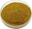Rapport 10/1 organique de poudre de Brown d'extrait de feuille de menthe poivrée de nature pure par la chromatographie sur couche mince fournisseur