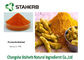 Colorants en cristal de colorant de poudre de jaune orange d'extrait de racine de safran des indes de curcumine fournisseur