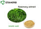Poudre acide d'Ursolic d'extrait de feuille d'Antioxdent Rosemary pour le produit de Cusmetic fournisseur