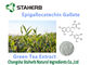 Antioxydants organiques/puissants complète le gallate 50-98% d'Epigallocatechin fournisseur