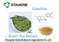 Poudre antioxydante de la catéchine 50-98% de supplément diététique d'extrait de thé vert fournisseur