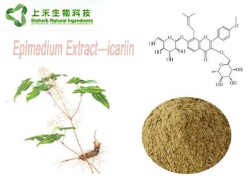 Chine Poudre masculine Icariin 5-98% d'extrait d'herbe d'Epimedium de poudre d'amélioration de mauvaise herbe cornée de chèvre fournisseur