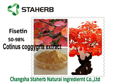 Chine L'usine organique d'arbre de fumée extrait l'extrait de Coggygria de Cotinus de poudre de 50- 98 % Fisetin fournisseur