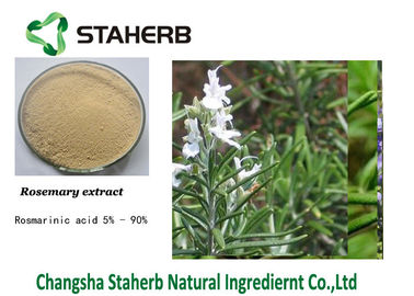 Chine Extrait de fines herbes acide d'usine d'Ursolic Rosemary fournisseur