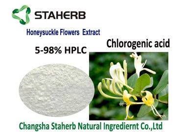Chine Extrait acide chlorogénique de catégorie de Pharma, extrait naturel de fleur de chèvrefeuille d'api fournisseur