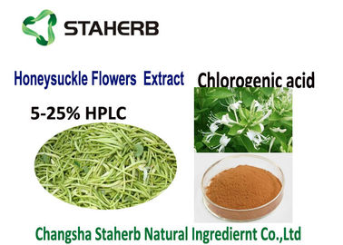 Chine Extrait acide chlorogénique anti 50-90%HPLC inflammatoire CAS d'usine naturelle 327 97 9 fournisseur