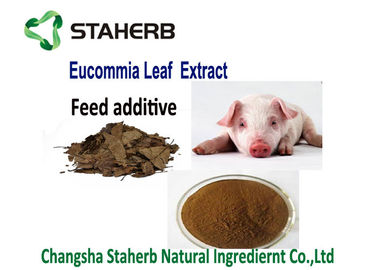 Chine Extrait acide chlorogénique additif d'alimentation, poudre d'extrait d'Ulmoides Oliver Eucommia fournisseur
