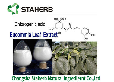 Chine Acide chlorogénique 5-98% de l'extrait P.E d'Eucommia Ulmoides de pharmaceutiques de matière première fournisseur