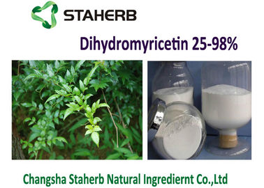 Chine Poudre naturelle de Dihydromyricetin DMY d'extrait d'Ampelopsis Grossedentata de thé de vigne fournisseur