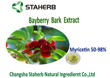 Chine Myricétine jaune 50%-98% de couleur verte d'extrait de poudre d'écorce de Bayberry d'antioxydation fournisseur