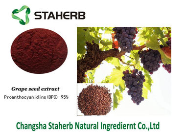 La Chine Polyphénols de Proanthocyanidins de documentations de référence standard d'extrait de graine de raisin contenus fournisseur