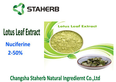La Chine Poids de fines herbes perdant les matières premières, poudre d'extrait de feuille de Lotus d'usine de flavonoïdes fournisseur