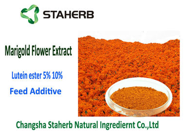 Chine Couleur rouge-orange de poudre d'extrait de fleur de souci de l'ester 5% de lutéine 2 ans de durée de conservation fournisseur