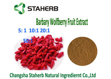 Chine Extrait naturel 4/1 de baie de Barbarie Wolfberry Goji 10/1 tumeurs de poudre de Brown de rapport anti- fournisseur