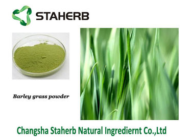 Chine Extraction séchée au vaporisateur de couleur verte de Gine de poudre de jus d'herbe d'orge d'herbe fournisseur