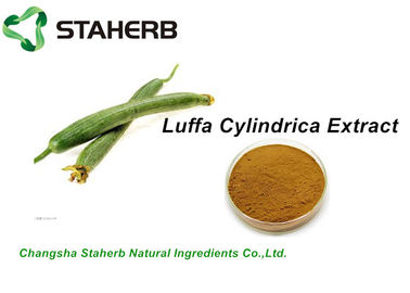 La Chine Ingrédients cosmétiques naturels d'herbe, 10:1 d'extrait de Cylindrica de luffa de matières premières de cosmétiques fournisseur