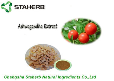 Chine Extrait naturel pur Withanolides d'Ashwagandha d'extrait d'usine par CLHP fournisseur