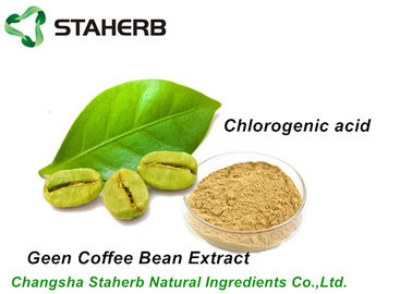 Chine Extrait acide chlorogénique vert naturel pur 50% de grain de café par CLHP fournisseur