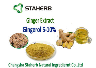 Chine Extrait 5%, 10%, 20%, 50% Gingerol de gingembre par les matières premières de CO2 de SCFE pour gastro-intestinal fournisseur