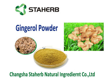 Chine poudre sèche soluble dans l'eau addtive de gingembre de gingembre d'extrait d'extrait de nourriture végétale organique de poudre fournisseur