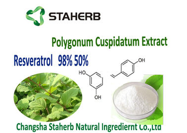 La Chine Extrait de plante verte de racine de Cuspidatum de Polygonum fournisseur