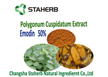 Chine Additifs phytogènes d'alimentation d'extrait de racine de Cuspidatum de Polygonum vétérinaires fournisseur