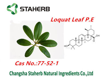 Chine Extraits naturels purs d'usine de poudre acide d'Ursolic d'extrait de feuille de Loquat fournisseur