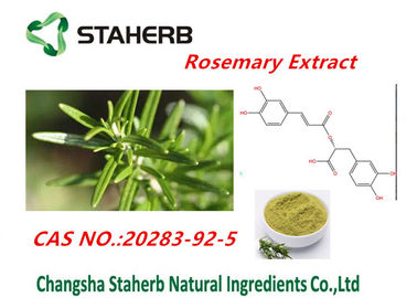 Chine Extrait acide de feuille de 90% Rosmarinic Rosemary pour le cosmétique Cas No.20283-92-5 fournisseur