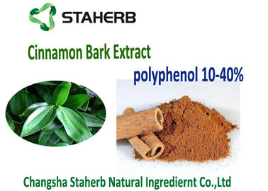 Chine Polyphénols antioxydants cachers de cannelle de l'extrait 10-30% d'écorce de cannelle de supplément diététique fournisseur