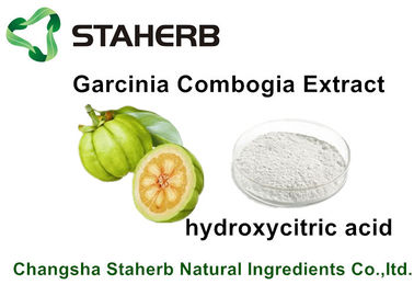 Chine Acide perdant HCA de Hydroxycitric d'extrait de gomme-gutte de Garcinia de poids pour le soin sain fournisseur