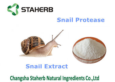 Chine Matières premières de cosmétiques naturels d'extrait d'escargot, ingrédients cosmétiques organiques fournisseur