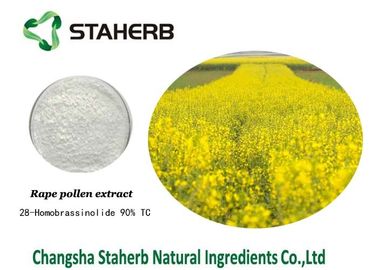 Chine Régulateur de croissance de plantes de documentations de référence de chimie d'extrait de pollen de viol fournisseur