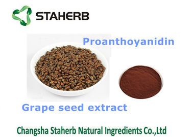 Chine Produits convenables antioxydants de soins de santé de supplément diététique d'extrait de graine de raisin fournisseur
