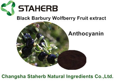 Chine Extrait noir de fruit de Barbarie Wolfberry, ingrédients de nourriture naturels pour la boisson fournisseur